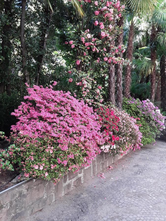 Villa Coris Ferienwohnung Magnolia Merano Kültér fotó